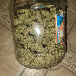 IMG20240309165223.jpg IMG20240309165223.jpg