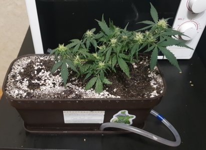 20240312_230028.jpg 20240312_230028.jpg