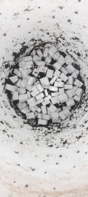 IMG_20240313_114714_685.jpg IMG_20240313_114714_685.jpg