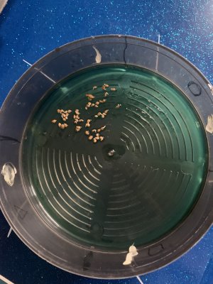 IMG_0645.jpeg IMG_0645.jpeg