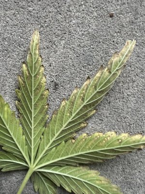 IMG_8012.jpeg IMG_8012.jpeg