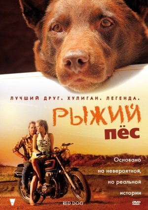 Обложка_фильма_«Рыжий_пёс».jpg Обложка_фильма_«Рыжий_пёс».jpg