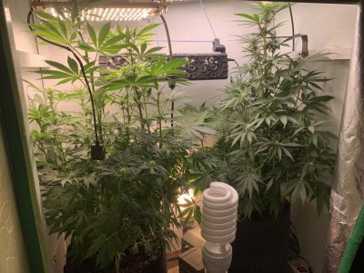 IMG_0662.jpeg IMG_0662.jpeg