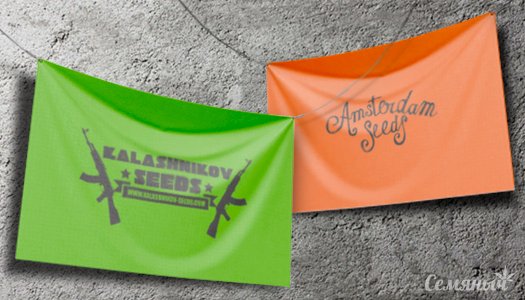 сидбанки.jpg сидбанки.jpg