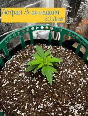 IMG_7413.jpeg IMG_7413.jpeg