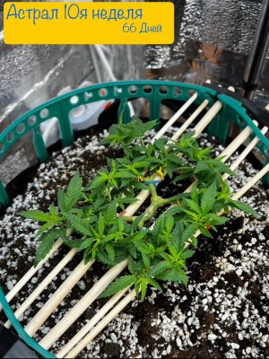 IMG_7415.jpeg IMG_7415.jpeg