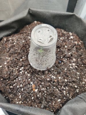 1000017089.jpg 1000017089.jpg