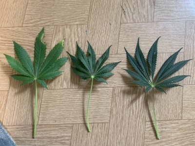 IMG_0793.jpeg IMG_0793.jpeg