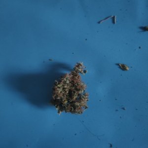 IMG20240402082610.jpg IMG20240402082610.jpg