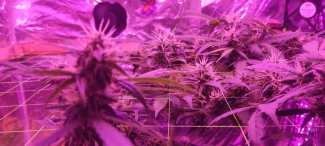 WhatsApp Image 2024-04-07 at 19.51.11 (1).jpeg