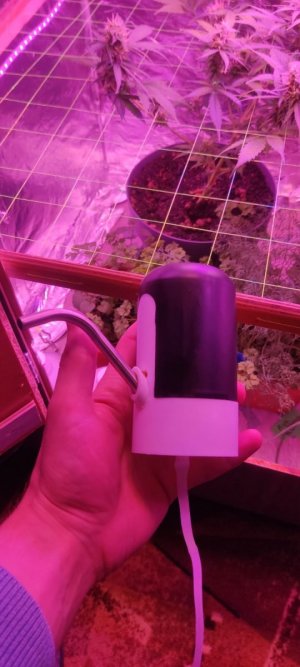 WhatsApp Image 2024-04-07 at 19.51.12.jpeg