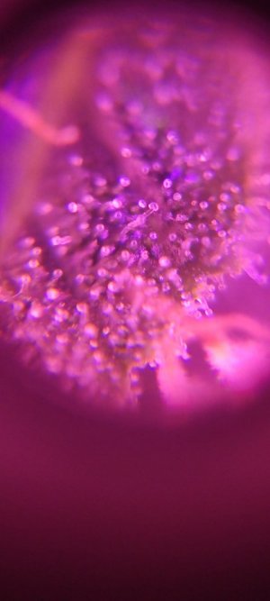 WhatsApp Image 2024-04-07 at 20.01.14.jpeg