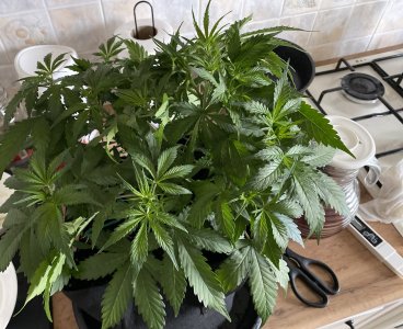 camphoto_126398554.jpeg camphoto_126398554.jpeg