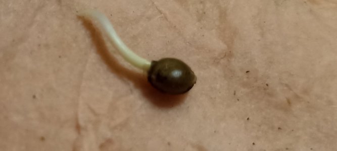 upload_2024_04_07_22_05_44_156.jpg upload_2024_04_07_22_05_44_156.jpg