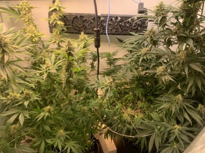 IMG_0878.jpeg IMG_0878.jpeg