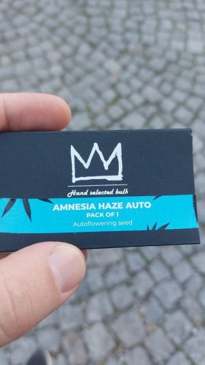 не взошло.jpg не взошло.jpg