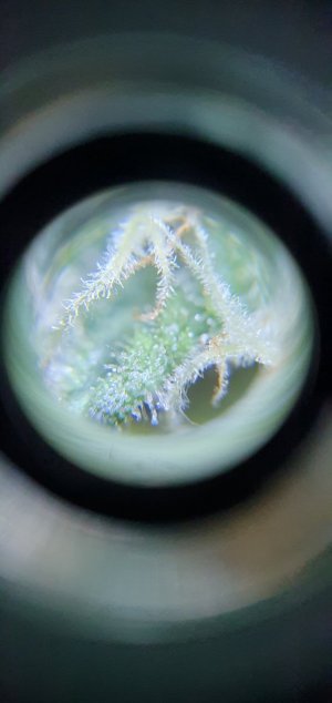 20240410_131344 — копия.jpg