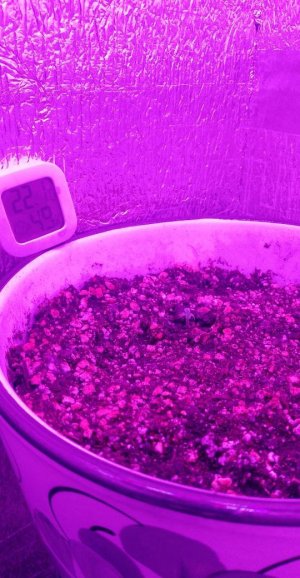 photo_2024-04-11_09-19-32.jpg photo_2024-04-11_09-19-32.jpg