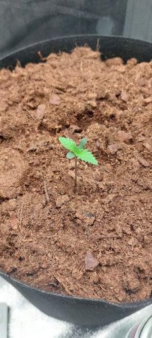 2024.04.11 - 3.1 день.jpg 2024.04.11 - 3.1 день.jpg