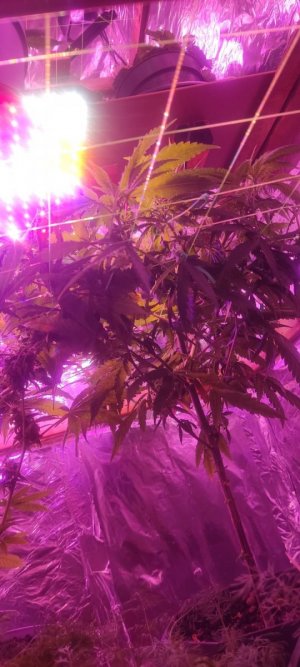 WhatsApp Image 2024-04-20 at 10.05.18.jpeg