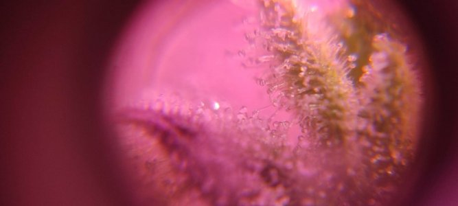 WhatsApp Image 2024-04-20 at 10.13.05.jpeg