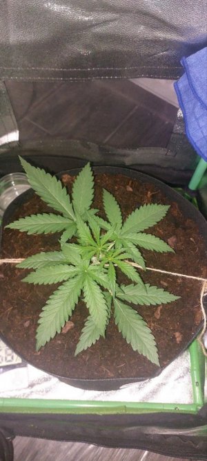 2024.04.23 - 15 день(750 мл воды).jpg 2024.04.23 - 15 день(750 мл воды).jpg