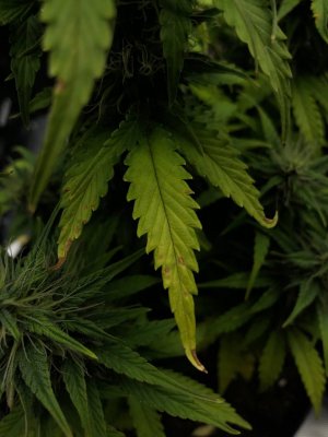 IMAGE 2024-04-24 01:10:00.jpg