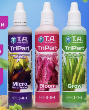 Снимок экрана 2024-04-25 в 4.16.33.png