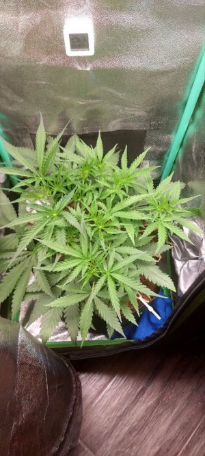 2024.05.03 - 25 день.jpg 2024.05.03 - 25 день.jpg