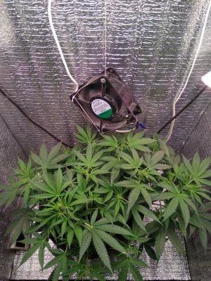 IMG_20240510_131125.jpg IMG_20240510_131125.jpg