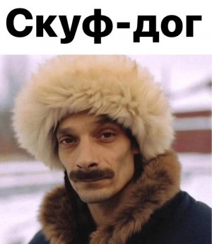 1712645672169657329.jpg 1712645672169657329.jpg