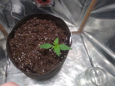 17159142853233059673721913986772.jpg 17159142853233059673721913986772.jpg