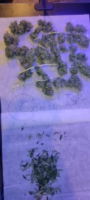 WhatsApp Image 2024-05-18 at 13.06.04 (1).jpeg