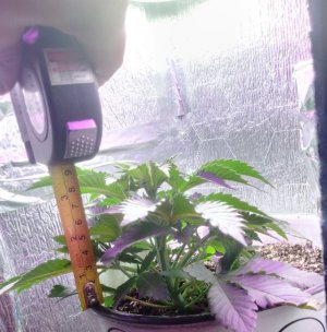 photo_1_2024-05-20_14-23-24.jpg photo_1_2024-05-20_14-23-24.jpg