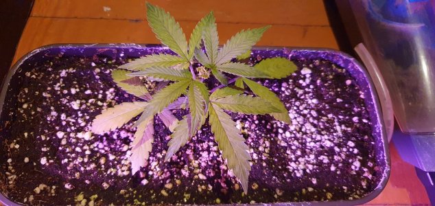 20240523_140524.jpg 20240523_140524.jpg