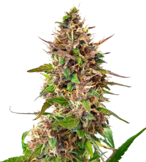 1716464170822.png 1716464170822.png