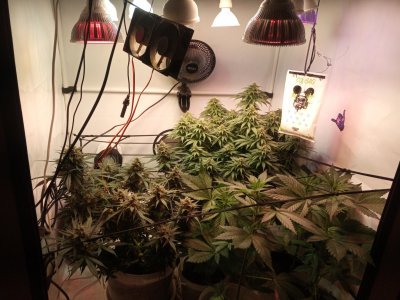 2024-05-24 133929.jpg