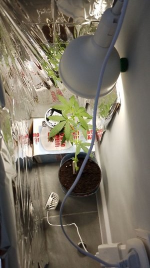 photo_2024-05-25_10-57-59 (1).jpg