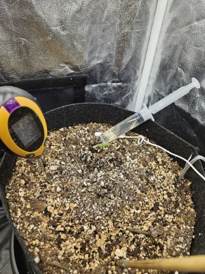 20240524_172219.jpg 20240524_172219.jpg