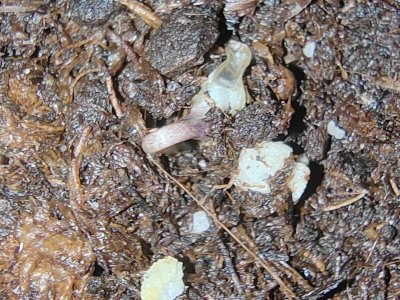 IMG_20240529_233556.jpg IMG_20240529_233556.jpg