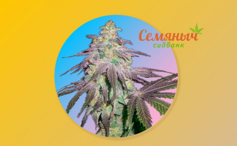 1645806717208.png 1645806717208.png