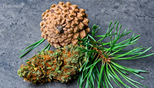 1645968498345.png 1645968498345.png