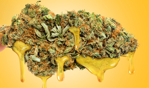 1645978921548.png 1645978921548.png