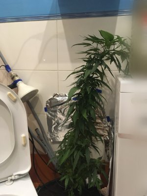 1925B892-E2E4-4645-A2FB-B4D607839EFB.jpeg 1925B892-E2E4-4645-A2FB-B4D607839EFB.jpeg