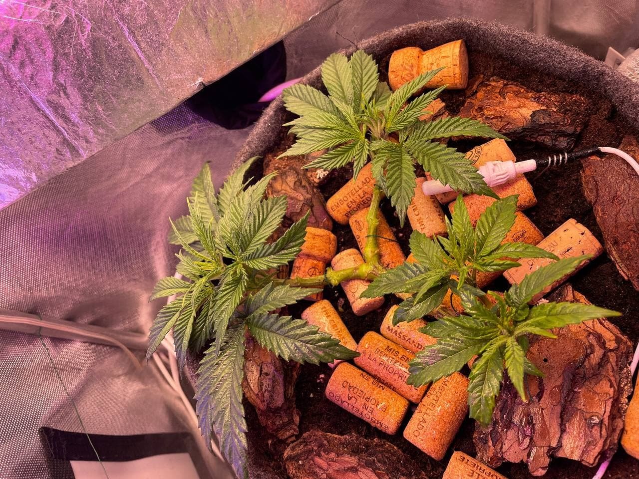 27.02c3.jpg 27.02c3.jpg