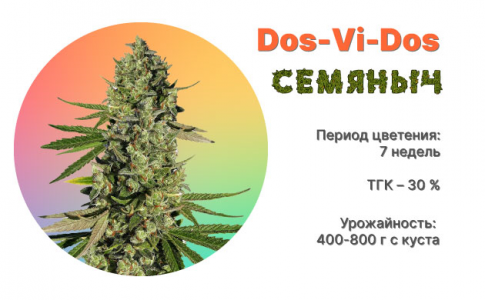 1646410952227.png 1646410952227.png