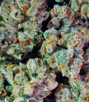 1646411025151.png 1646411025151.png