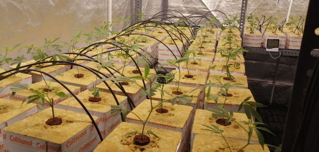 IMG_20220304_211323_619.jpg IMG_20220304_211323_619.jpg