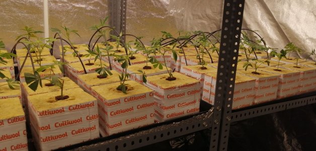 IMG_20220304_211327_187.jpg IMG_20220304_211327_187.jpg