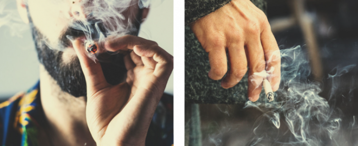 1646500750069.png 1646500750069.png